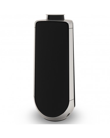 BEOLAB 50 Active Speakers