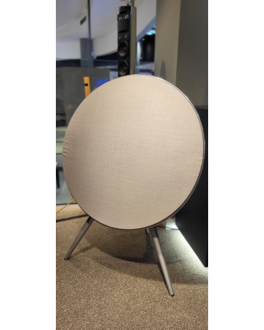 Bang & Olufsen Beoplay A9 4th Gen Nordic Ice GVA - OUTL13