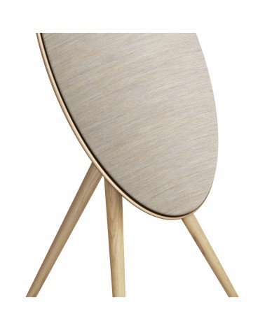 Beosound A9 Active Speaker