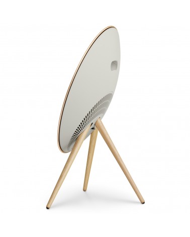 Beosound A9 Active Speaker
