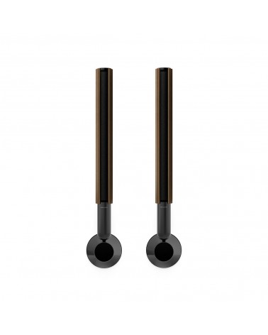 Beolab 28 Active Speakers