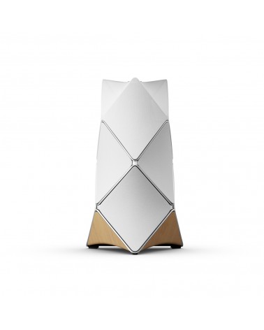 Beolab 90 Active Speakers
