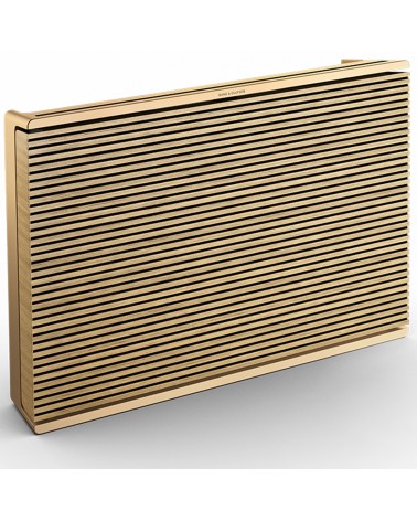 Beosound Level Active Speaker