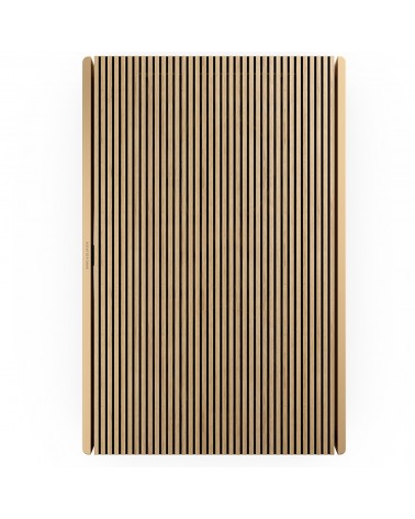 Beosound Level Active Speaker