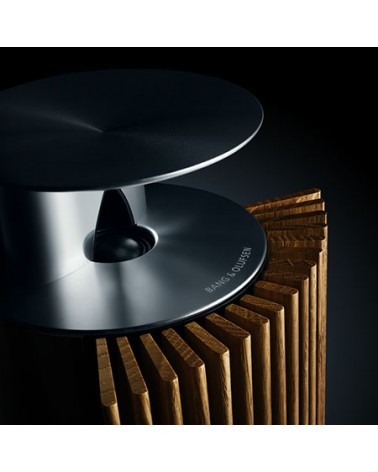 Beolab 18 Active Speaker