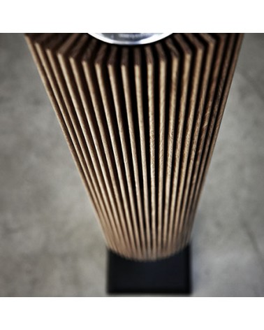 Beolab 18 Active Speaker