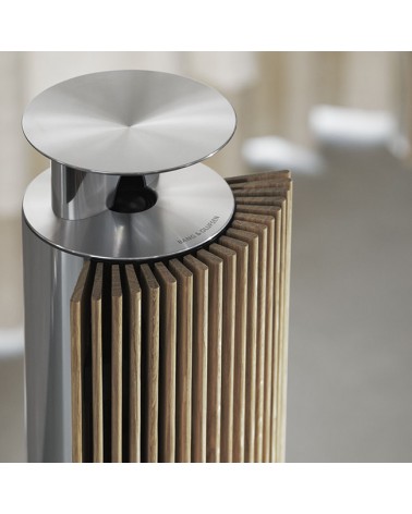Beolab 18 Active Speaker