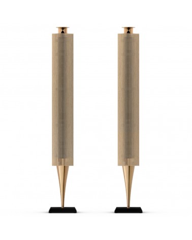 Beolab 18 Active Speaker