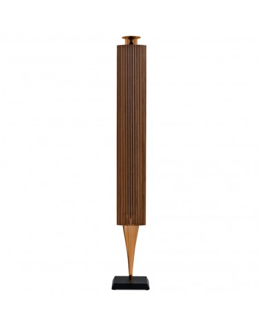 Beolab 18 Active Speaker
